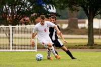 ISO 1600, 1/1250 sec at f / 5.6, 400 mm