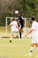 ISO 1600, 1/1000 sec at f / 5.6, 210 mm