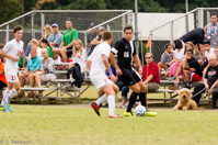 ISO 1600, 1/1000 sec at f / 5.6, 210 mm