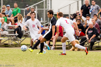 ISO 1600, 1/1000 sec at f / 5.6, 210 mm