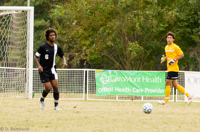 ISO 1600, 1/800 sec at f / 5.6, 250 mm