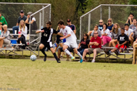 ISO 1600, 1/2000 sec at f / 5.0, 148 mm