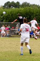 ISO 1600, 1/1600 sec at f / 4.5, 120 mm