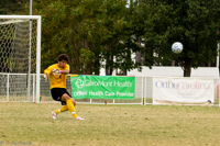 ISO 1600, 1/800 sec at f / 5.0, 200 mm