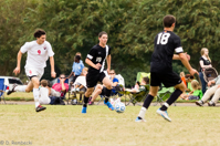 ISO 1600, 1/500 sec at f / 5.6, 250 mm