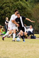 ISO 1600, 1/500 sec at f / 5.6, 250 mm