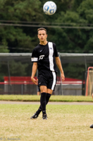 ISO 1600, 1/500 sec at f / 5.6, 300 mm