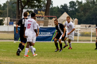 ISO 1600, 1/1000 sec at f / 5.6, 230 mm