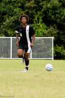 ISO 3200, 1/500 sec at f / 5.6, 300 mm