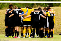 ISO 2000, 1/640 sec at f / 6.3, 290 mm