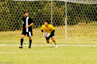 ISO 3200, 1/1000 sec at f / 5.6, 240 mm