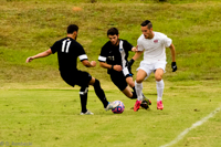 ISO 3200, 1/800 sec at f / 6.3, 290 mm