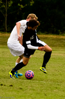 ISO 3200, 1/2000 sec at f / 5.6, 240 mm