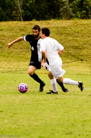 ISO 3200, 1/4000 sec at f / 6.3, 290 mm