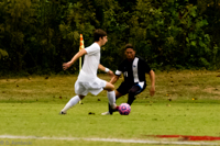 ISO 3200, 1/3200 sec at f / 5.6, 240 mm