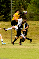 ISO 3200, 1/2500 sec at f / 6.3, 330 mm