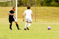 ISO 3200, 1/1600 sec at f / 5.6, 200 mm