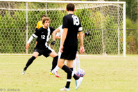 ISO 3200, 1/1000 sec at f / 5.6, 240 mm