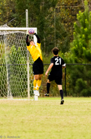 ISO 3200, 1/1000 sec at f / 6.3, 290 mm