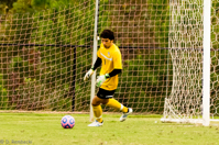 ISO 3200, 1/1250 sec at f / 6.3, 330 mm