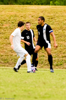 ISO 3200, 1/1250 sec at f / 6.3, 290 mm