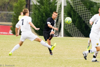 ISO 2000, 1/400 sec at f / 5.6, 240 mm