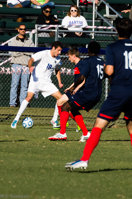 ISO 800, 1/2500 sec at f / 5.6, 240 mm