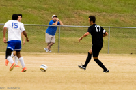 ISO 4000, 1/1000 sec at f / 6.3, 330 mm