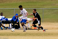 ISO 8000, 1/400 sec at f / 6.3, 290 mm