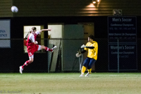 ISO 25600, 1/320 sec at f / 6.3, 370 mm