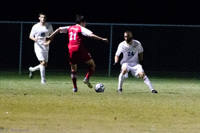 ISO 25600, 1/320 sec at f / 6.3, 330 mm