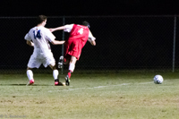 ISO 25600, 1/320 sec at f / 6.3, 330 mm