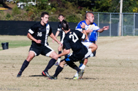 ISO 800, 1/3200 sec at f / 11, 200 mm