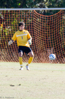 ISO 800, 1/3200 sec at f / 7.1, 370 mm