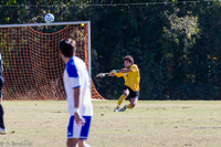 ISO 800, 1/1250 sec at f / 6.3, 290 mm