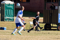 ISO 800, 1/3200 sec at f / 7.1, 240 mm