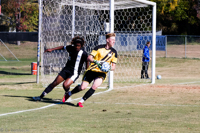 ISO 800, 1/3200 sec at f / 8.0, 75 mm