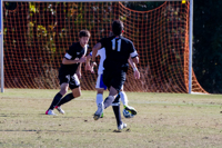 ISO 800, 1/2000 sec at f / 6.3, 290 mm