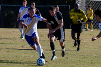 ISO 800, 1/1250 sec at f / 5.6, 240 mm