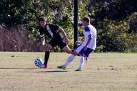 ISO 800, 1/1600 sec at f / 5.6, 240 mm