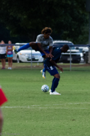 ISO 2000, 1/500 sec at f / 4.5, 120 mm