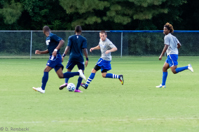 ISO 2000, 1/500 sec at f / 4.5, 120 mm