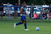 ISO 4000, 1/500 sec at f / 5.6, 230 mm