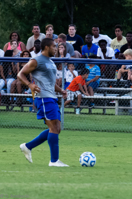 ISO 4000, 1/500 sec at f / 5.6, 230 mm