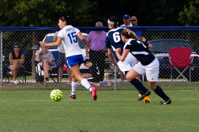 ISO 1250, 1/125 sec at f / 16, 230 mm