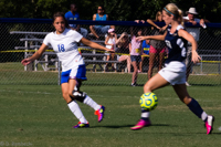 ISO 1250, 1/200 sec at f / 29, 300 mm