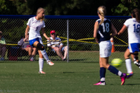 ISO 1250, 1/125 sec at f / 22, 270 mm