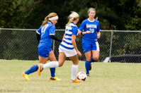 ISO 2000, 1/1000 sec at f / 5.6, 270 mm