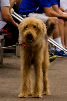 ISO 1600, 1/640 sec at f / 10, 400 mm