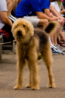 ISO 1600, 1/640 sec at f / 9.0, 400 mm